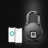 Dealmo Fingerprint Smart Lock